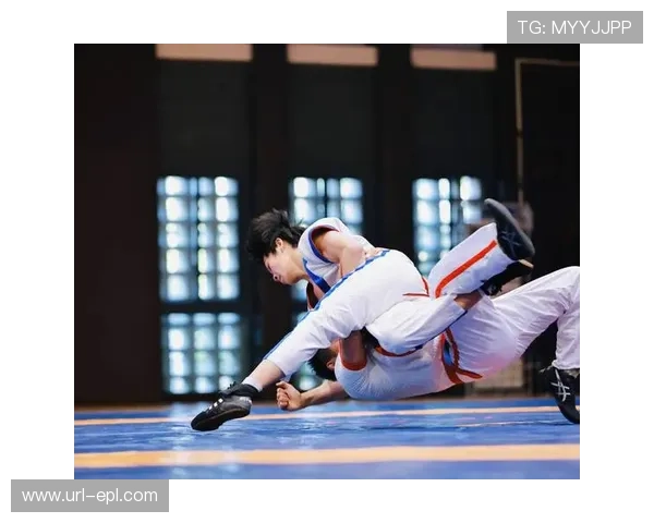 全运会老将新秀同场,王蔷经验与周意冲劲成看点 全运会老将新秀同场,王蔷经验与周意冲劲成看点